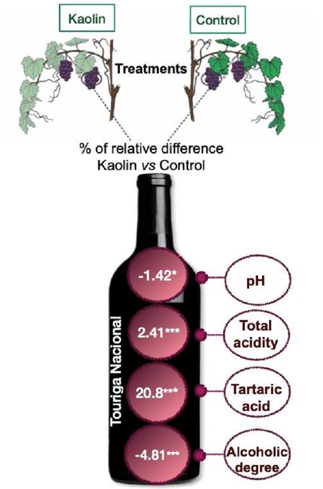 Research results